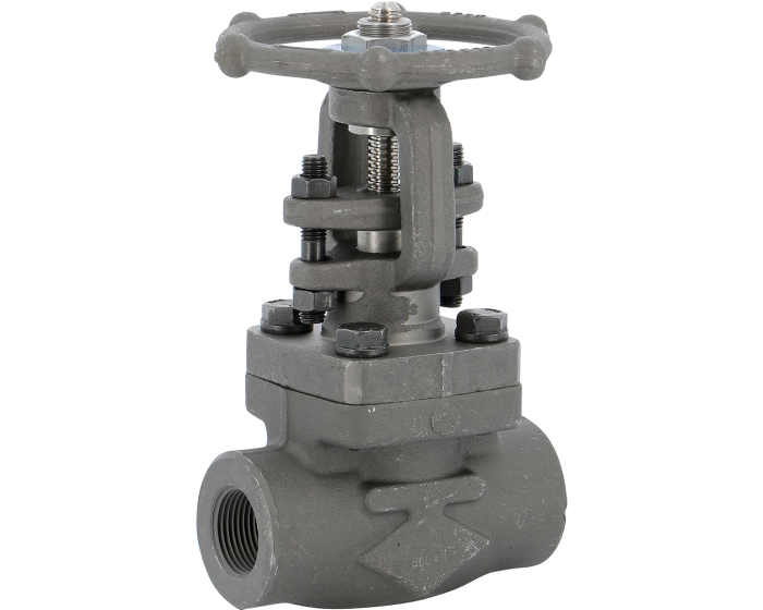 Carbon steel A150N gate valve 115 TRIM 16 800 lbs NPT 3/8''